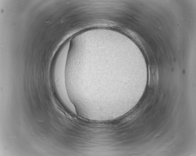 X0000085280435200704092210