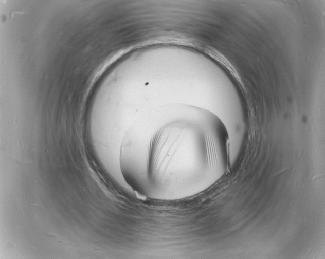 X0000085280436200704092210