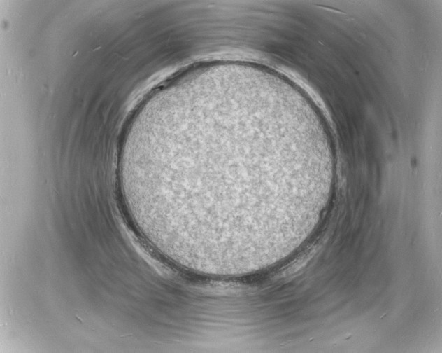 X0000085280437200704092210