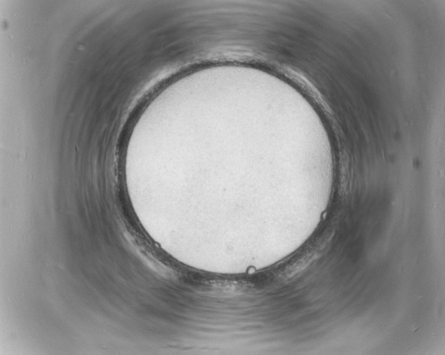 X0000085280439200704092210