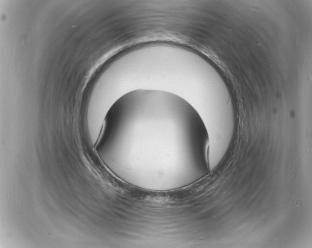 X0000085280440200704092210