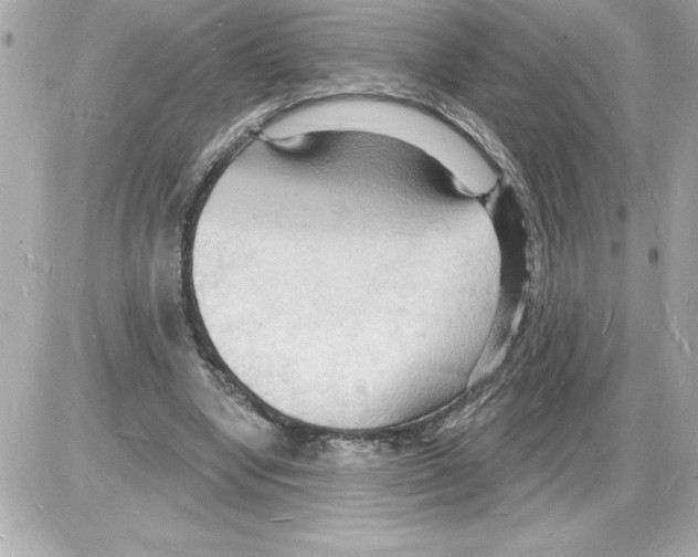 X0000085280442200704092210