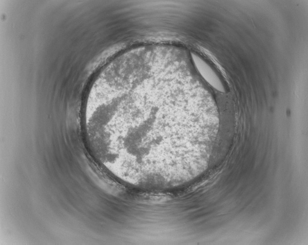 X0000085280443200704092210