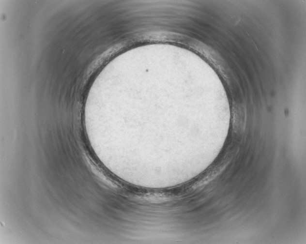 X0000085280445200704092210