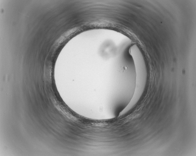 X0000085280446200704092210