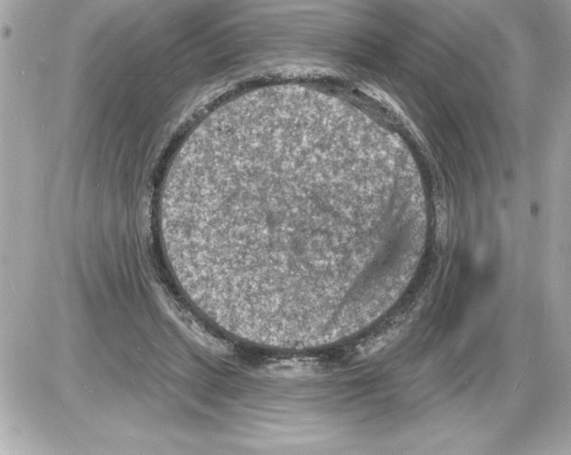 X0000085280447200704092210