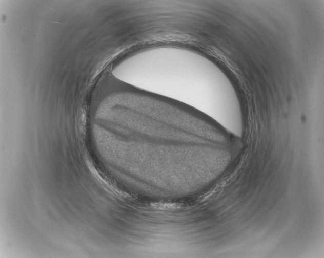 X0000085280448200704092210