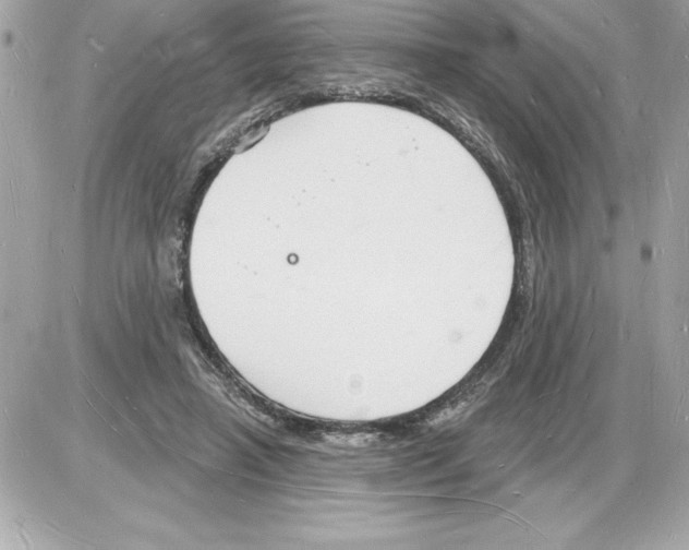 X0000085280450200704092211