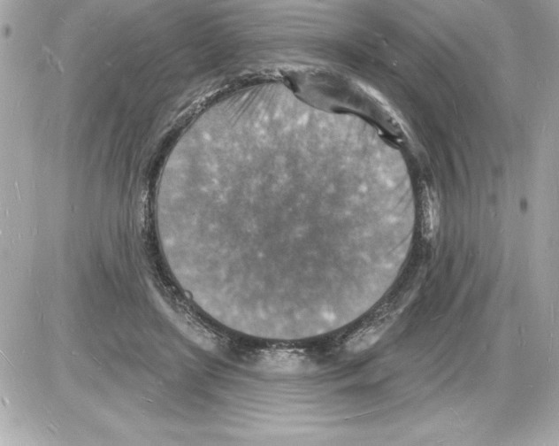 X0000085280451200704092211