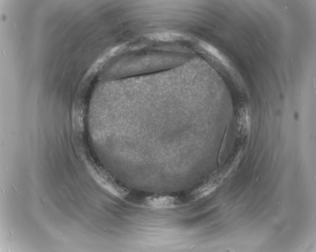 X0000085280452200704092211