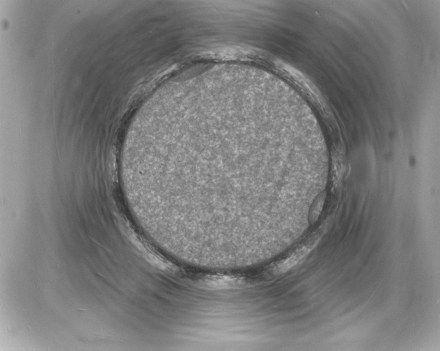 X0000085280453200704092211