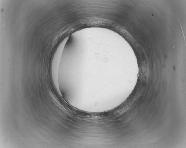 X0000085280454200704092211