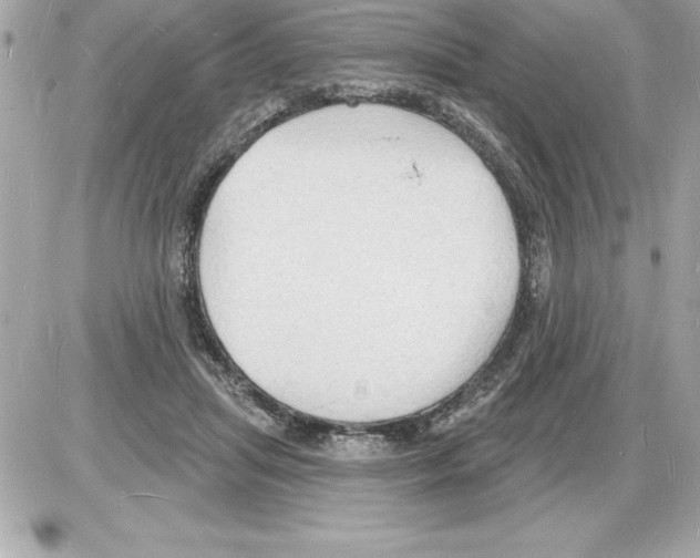 X0000085280455200704092211