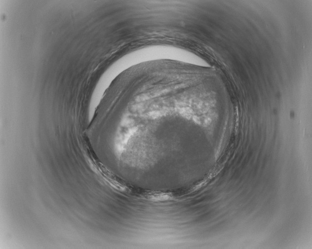 X0000085280456200704092211