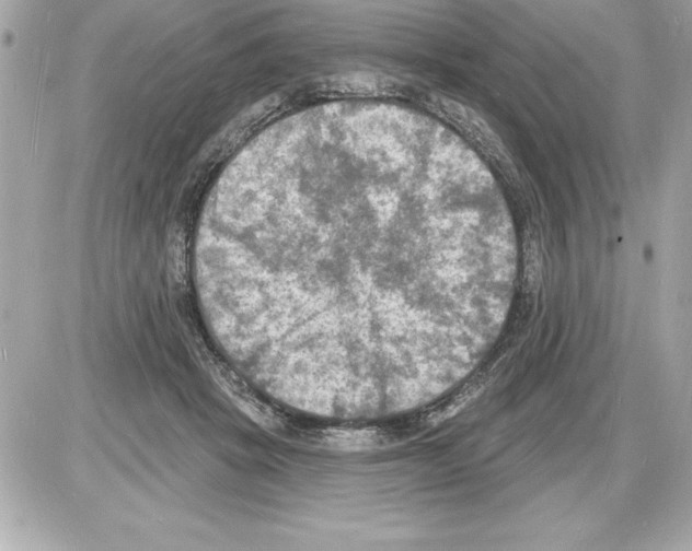 X0000085280457200704092211