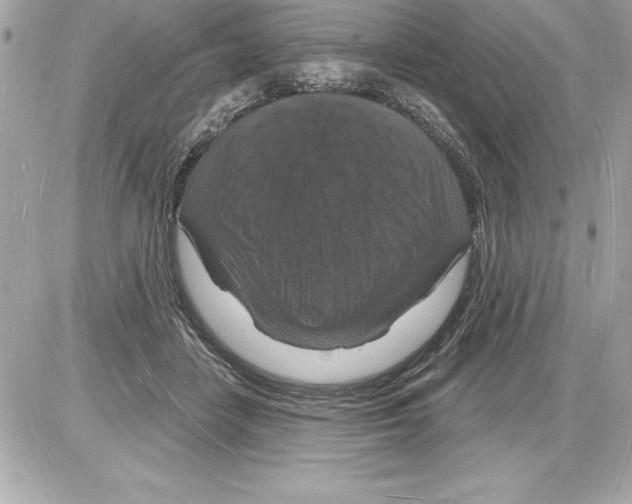 X0000085280458200704092211