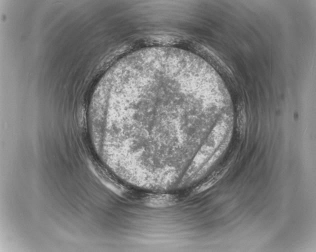 X0000085280459200704092211