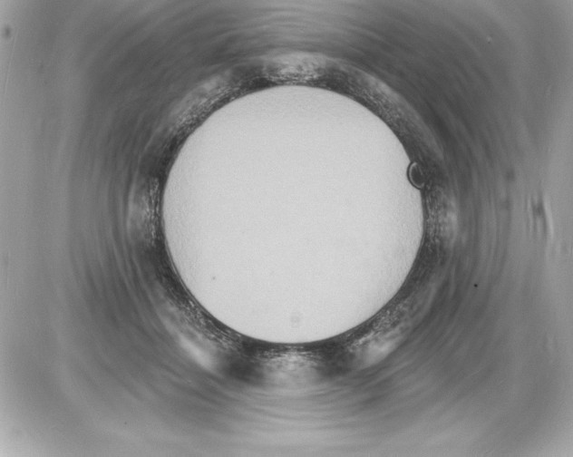 X0000085280460200704092211