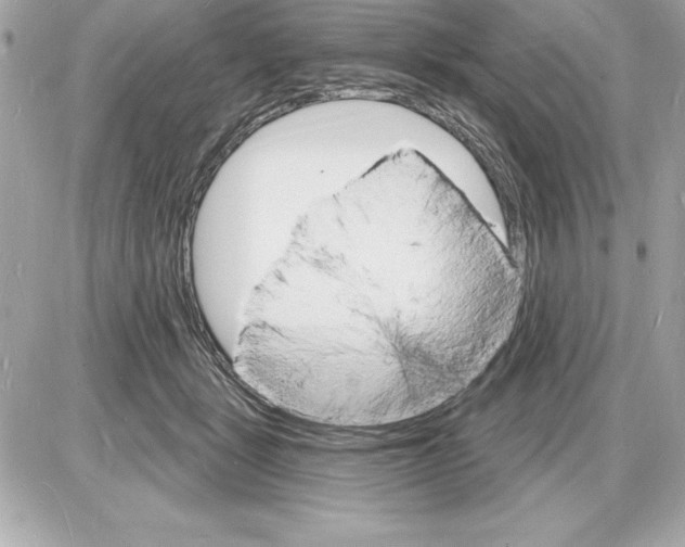 X0000085280461200704092211