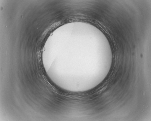 X0000085280462200704092211