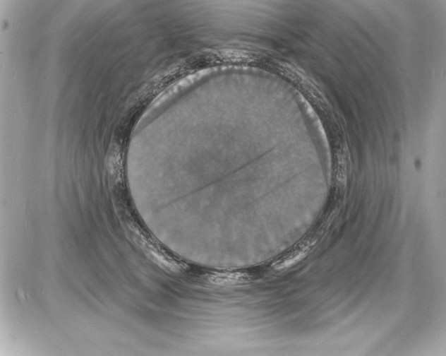 X0000085280465200704092211