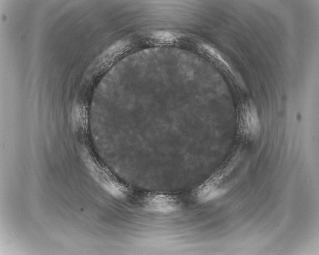 X0000085280467200704092211