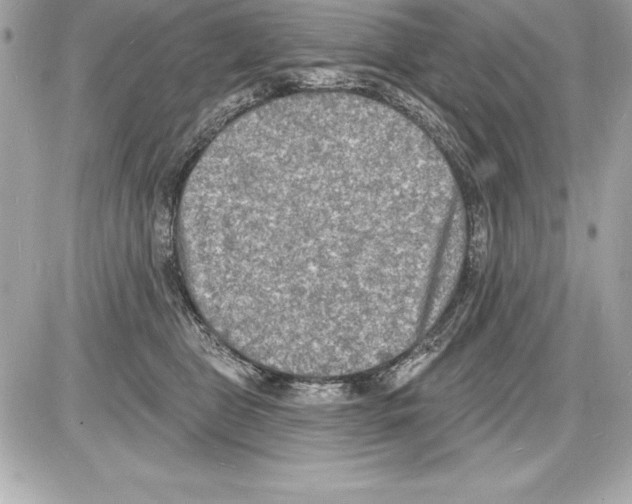 X0000085280469200704092211