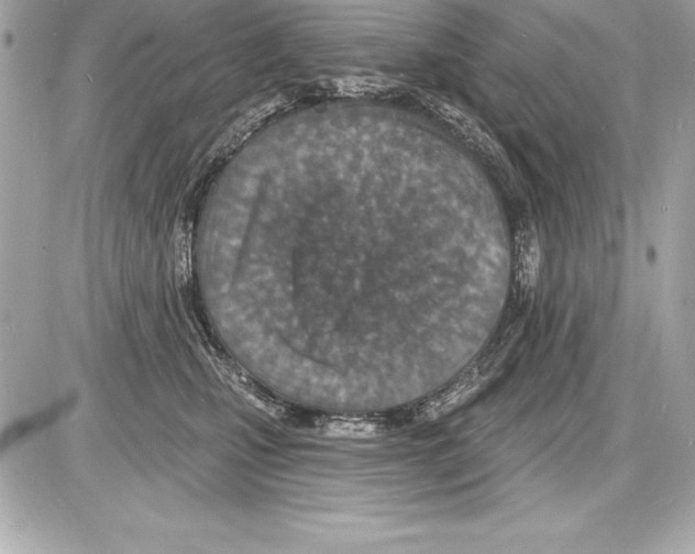 X0000085280471200704092211