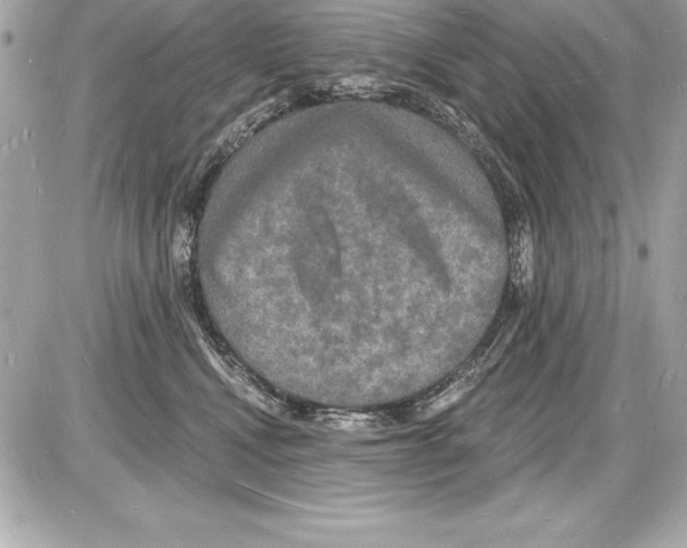 X0000085280472200704092211