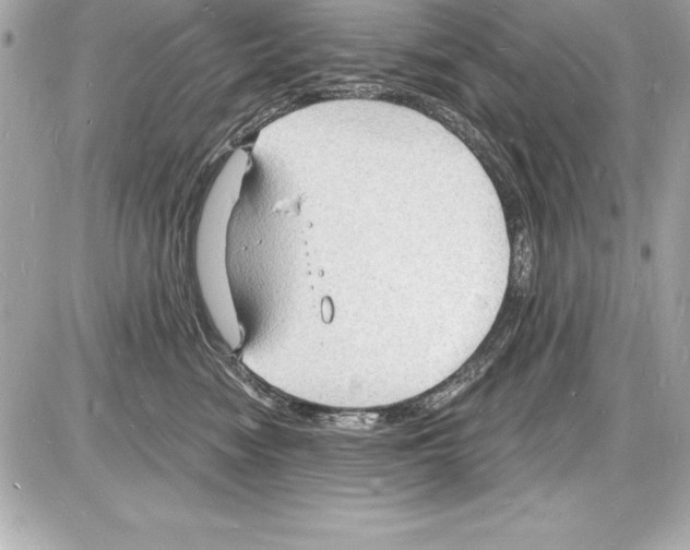 X0000085280474200704092211