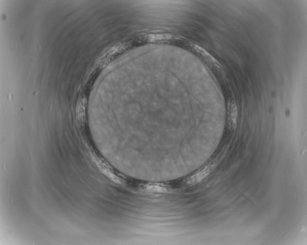 X0000085280475200704092211