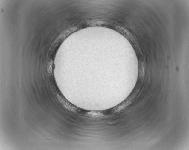 X0000085280477200704092211