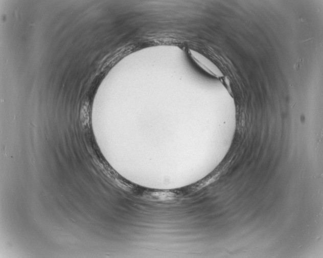 X0000085280478200704092211