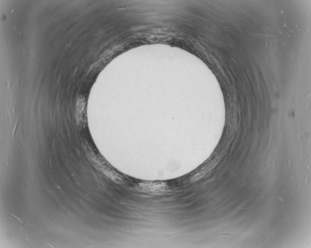 X0000085280480200704092211