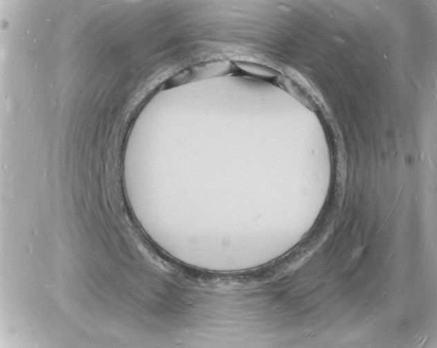 X0000085280481200704092210