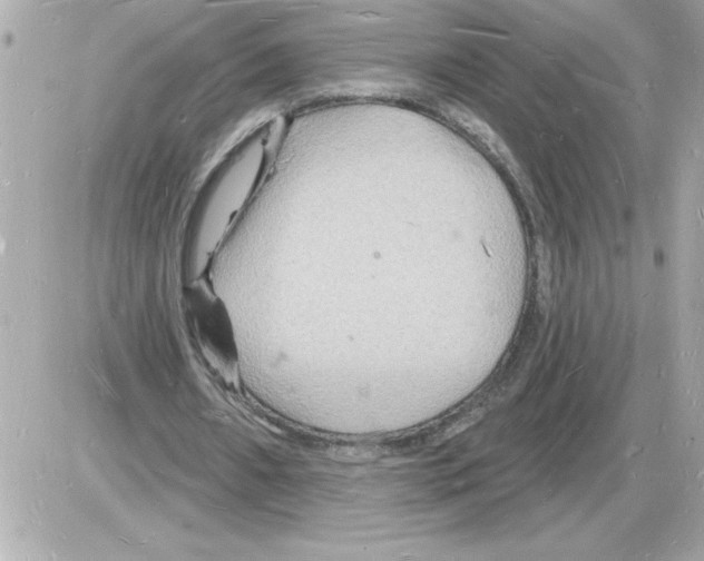 X0000085280482200704092210