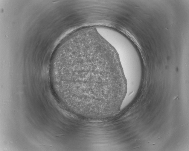 X0000085280483200704092210