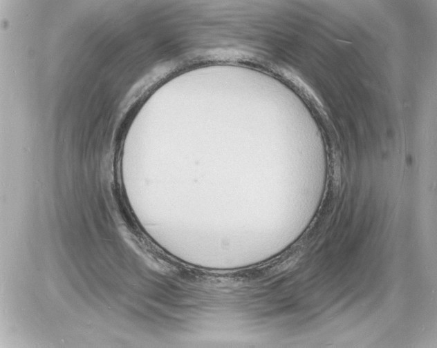 X0000085280486200704092210