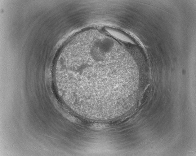 X0000085280487200704092210