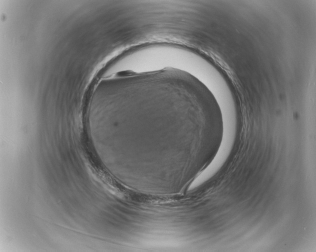 X0000085280488200704092210