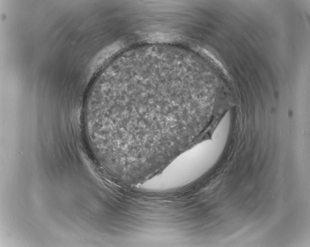 X0000085280491200704092210