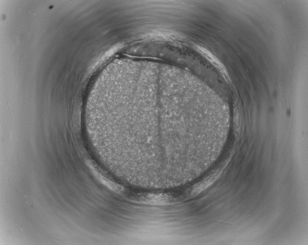 X0000085280493200704092210