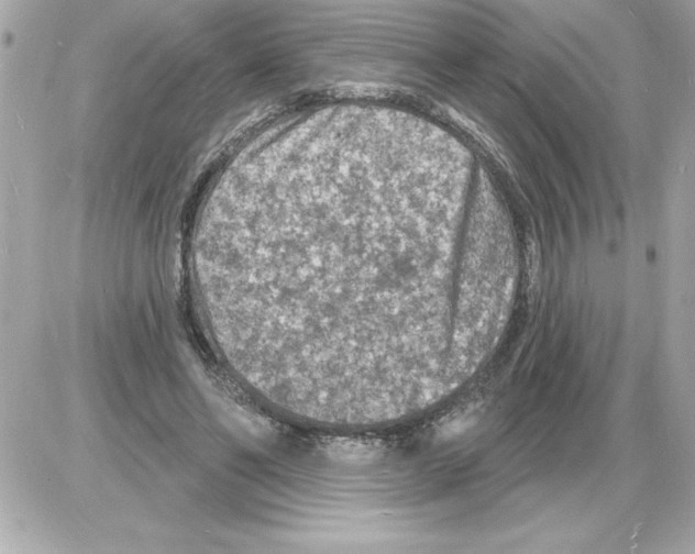 X0000085280494200704092210