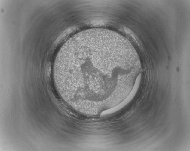 X0000085280495200704092210