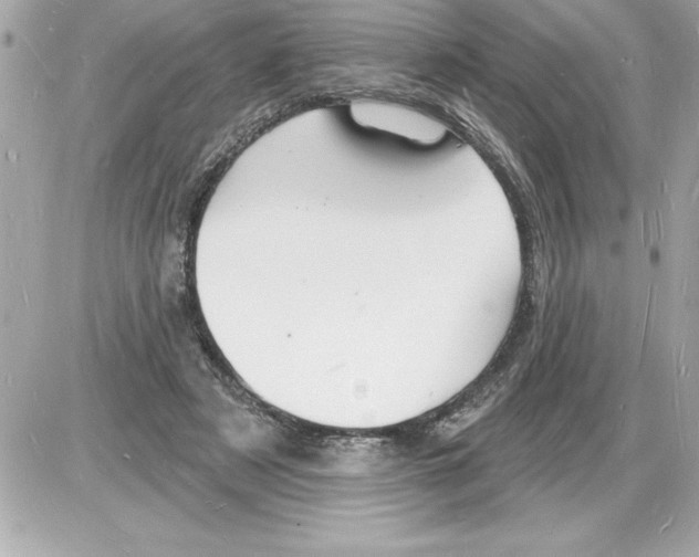 X0000085280497200704092210