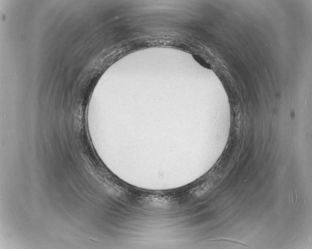 X0000085280498200704092210