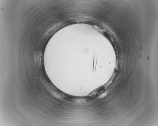 X0000085280501200704092210