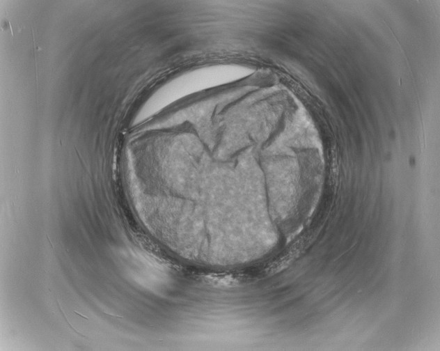 X0000085280502200704092210