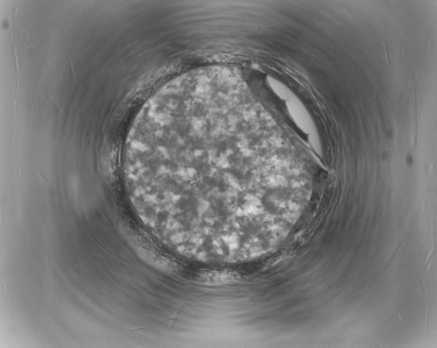 X0000085280503200704092210