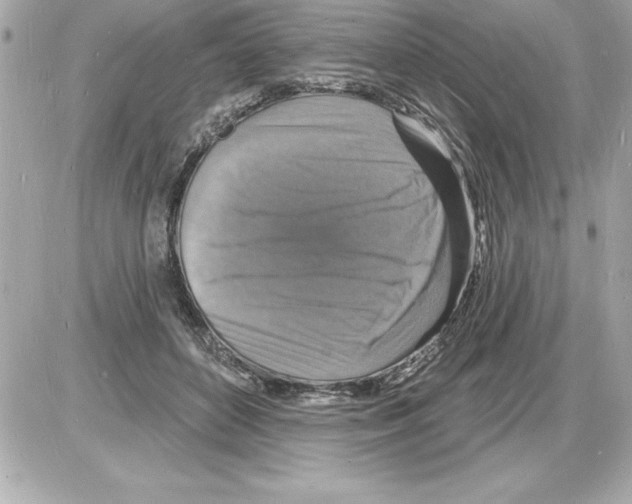 X0000085280504200704092210